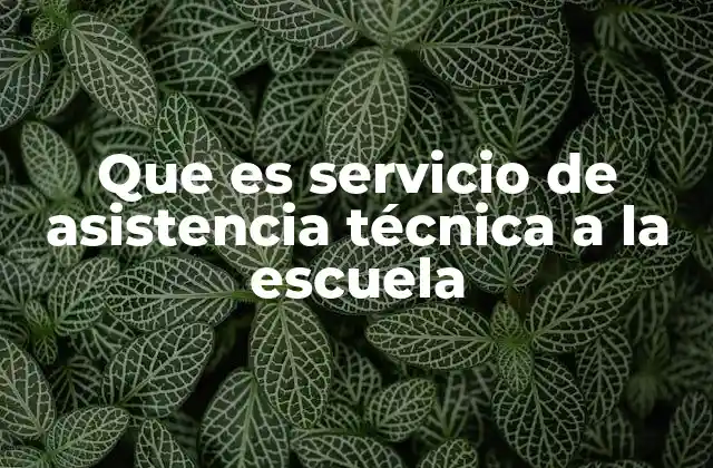 Que es Servicio de Asistencia Técnica a la Escuela