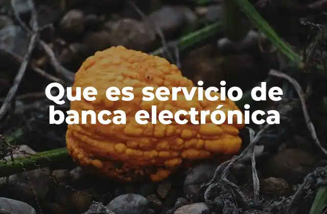 Que es Servicio de Banca Electrónica