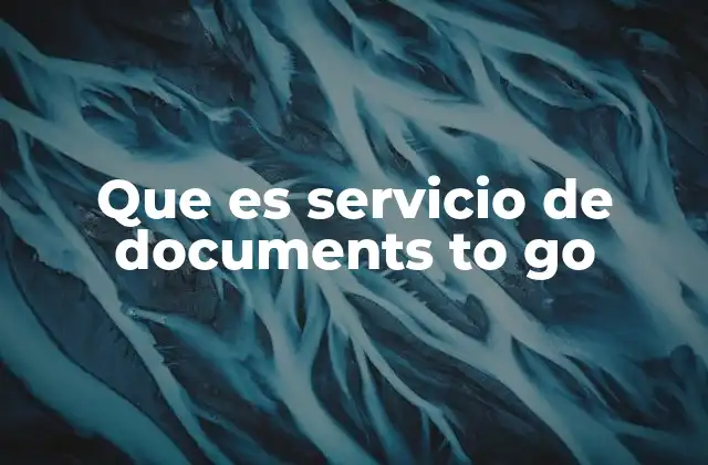 Que es Servicio de Documents To Go