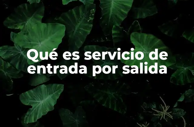 Qué es Servicio de Entrada por Salida