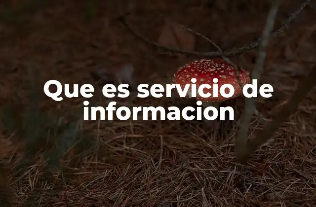 Que es Servicio de Informacion