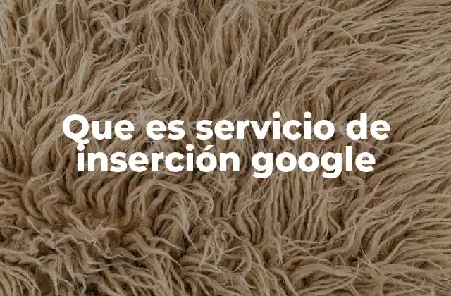 Que es Servicio de Inserción Google