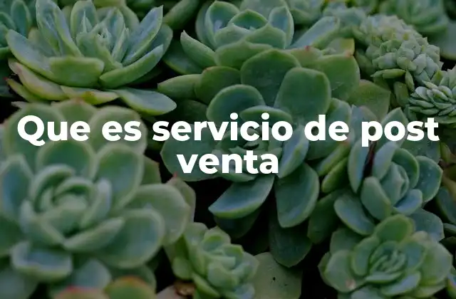Que es Servicio de Post Venta
