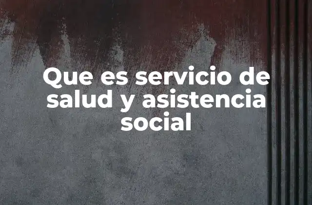Que es Servicio de Salud y Asistencia Social