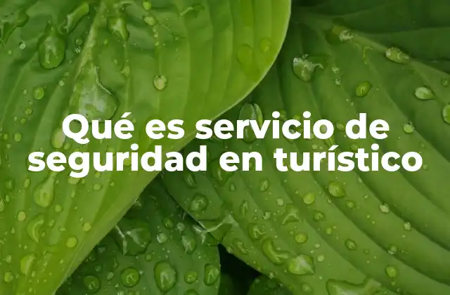 Qué es Servicio de Seguridad en Turístico