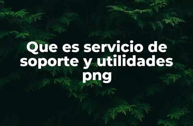 Que es Servicio de Soporte y Utilidades Png