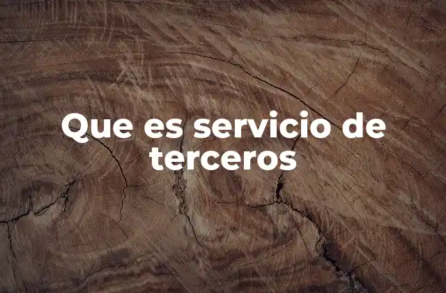 Que es Servicio de Terceros