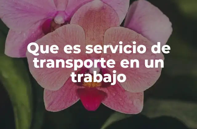 El papel del transporte en la operación empresarial