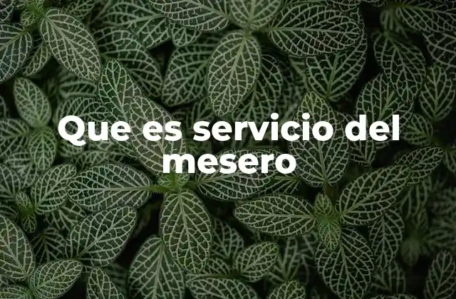 Que es Servicio Del Mesero