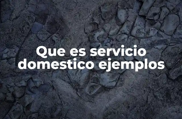 Que es Servicio Domestico Ejemplos