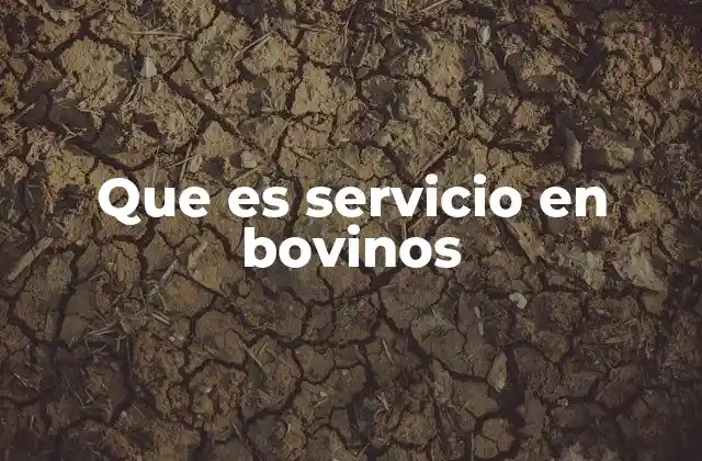Que es Servicio en Bovinos