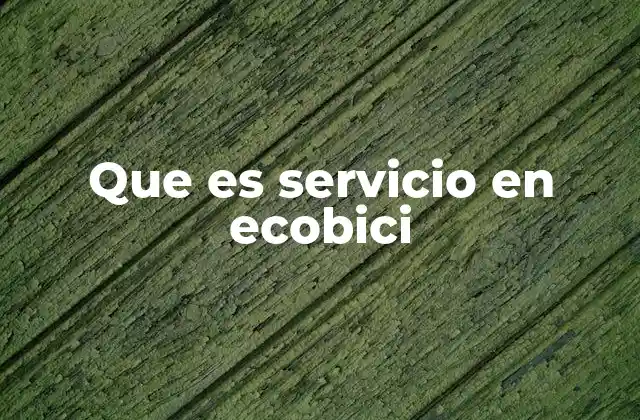 El sistema detrás del servicio de Ecobici