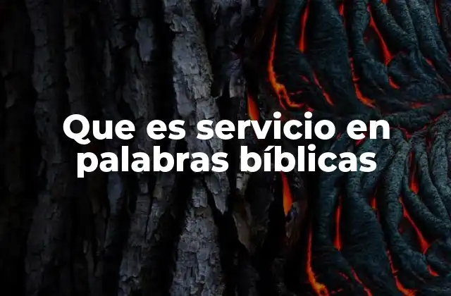 Que es Servicio en Palabras Bíblicas