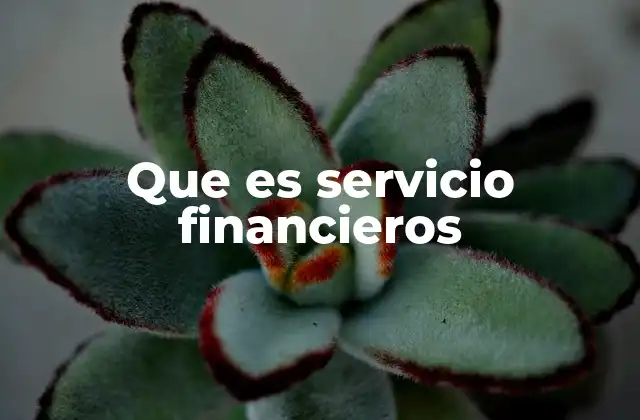 Que es Servicio Financieros