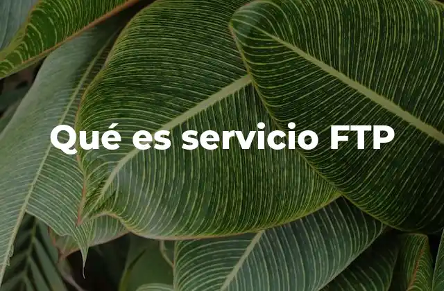 Qué es Servicio Ftp