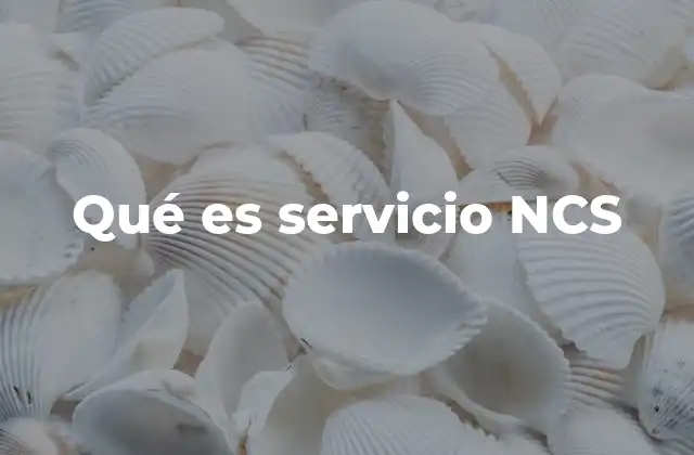 Qué es Servicio Ncs