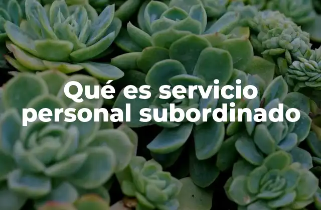 Qué es Servicio Personal Subordinado 2 Características principales de la relación laboral subordinada