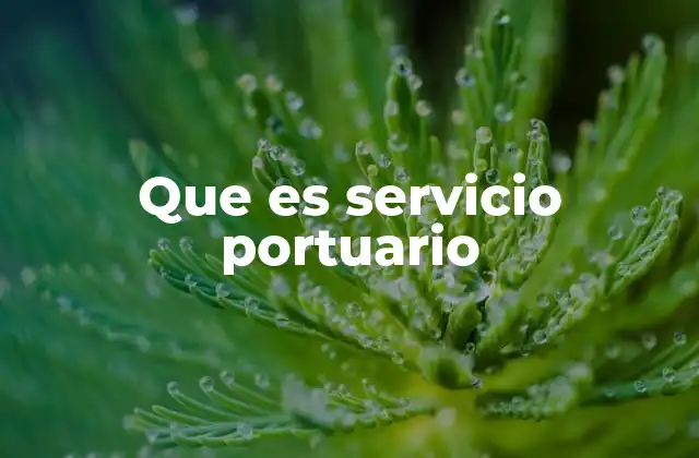 Que es Servicio Portuario