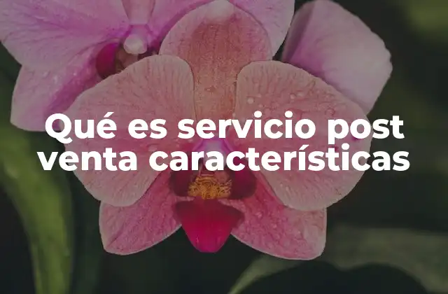 Qué es Servicio Post Venta Características