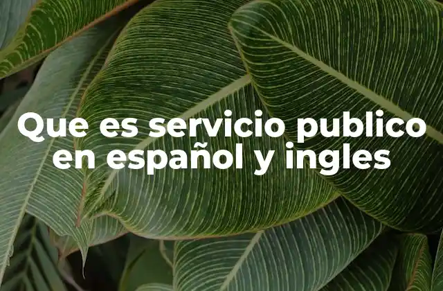 La importancia de los servicios públicos en la sociedad moderna