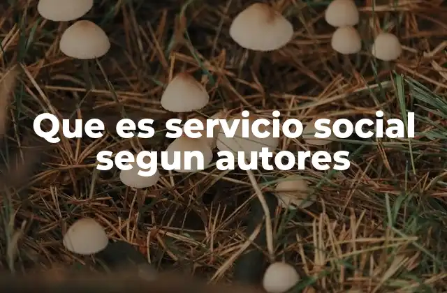 Que es Servicio Social Segun Autores