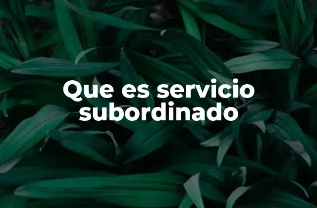 Que es Servicio Subordinado