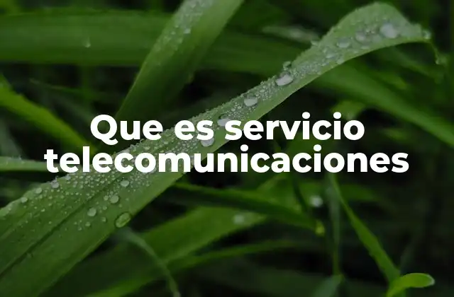 Que es Servicio Telecomunicaciones