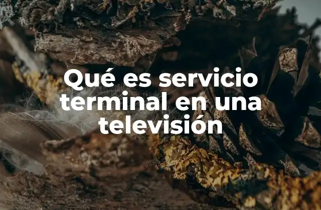 Qué es Servicio Terminal en una Televisión