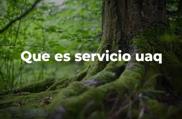 Que es Servicio Uaq 2 La importancia del servicio universitario en la UAQ