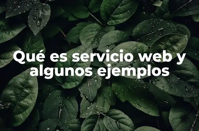 Qué es Servicio Web y Algunos Ejemplos