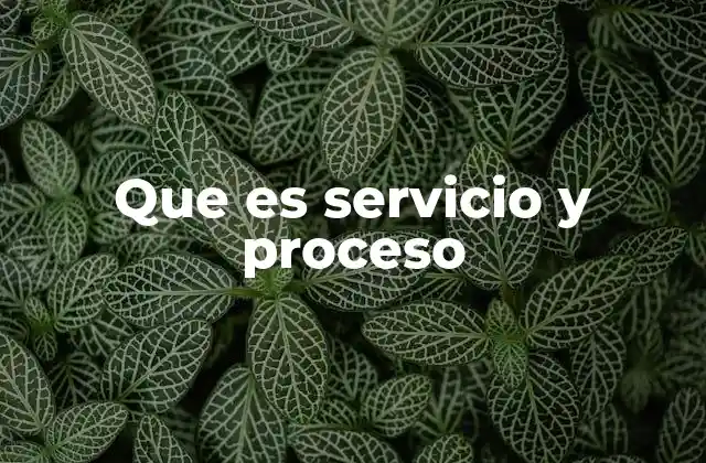 Que es Servicio y Proceso