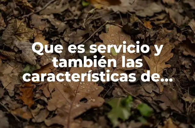 Que es Servicio y También las Características de Servicios