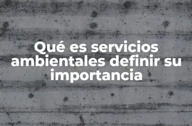Qué es Servicios Ambientales Definir Su Importancia