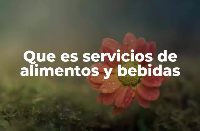 Que es Servicios de Alimentos y Bebidas
