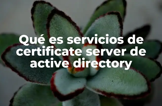 Qué es Servicios de Certificate Server de Active Directory