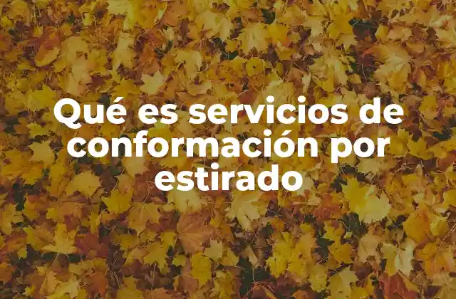 Qué es Servicios de Conformación por Estirado