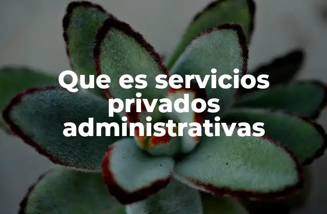 La importancia de externalizar funciones administrativas