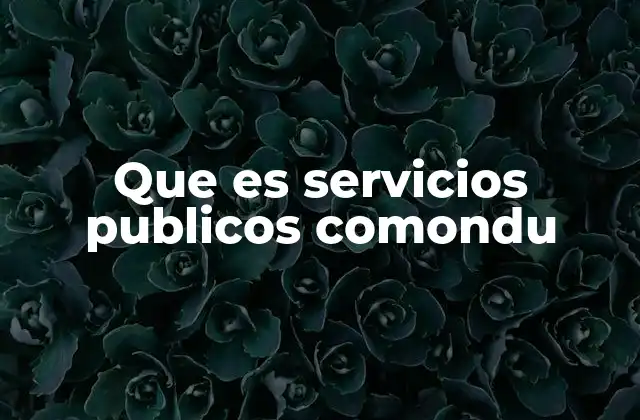 Que es Servicios Publicos Comondu