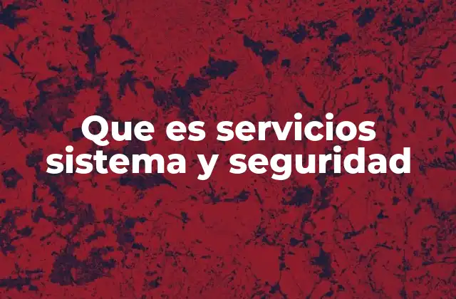 Que es Servicios Sistema y Seguridad
