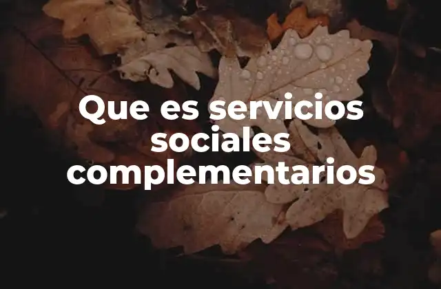 Que es Servicios Sociales Complementarios