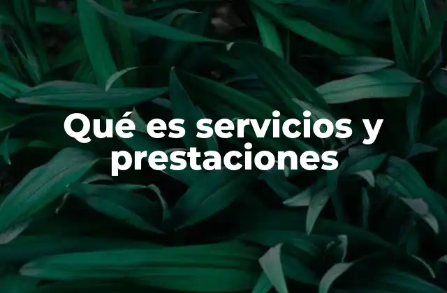 Qué es Servicios y Prestaciones 2 El rol de los servicios y prestaciones en la dinámica laboral