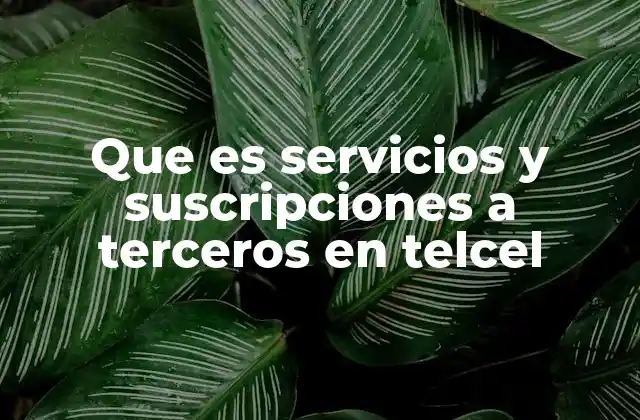 Cómo funcionan las suscripciones a terceros en Telcel