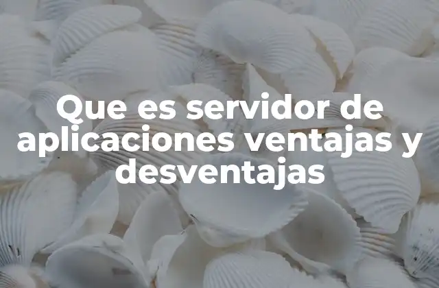 Que es Servidor de Aplicaciones Ventajas y Desventajas