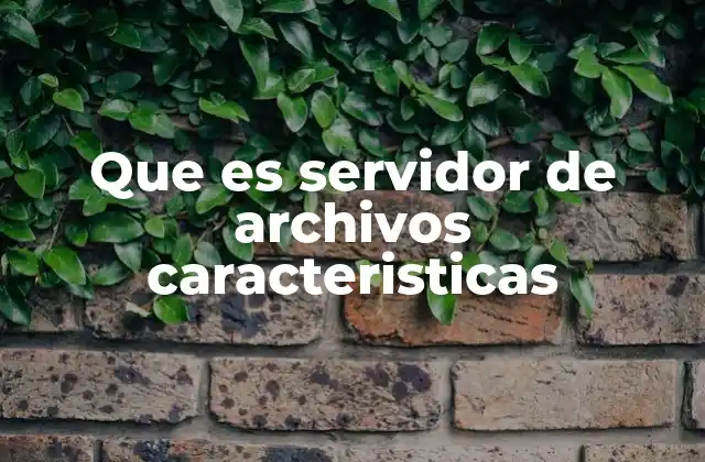 Que es Servidor de Archivos Caracteristicas