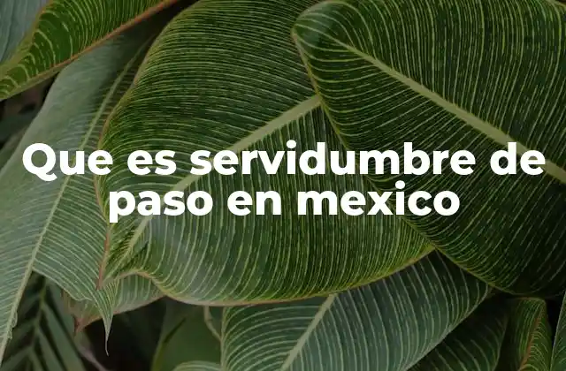 ¿Cómo se aplica la servidumbre de paso en el derecho mexicano?