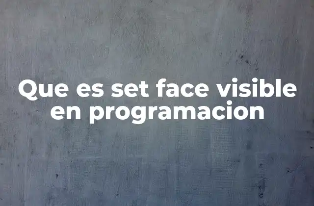 Que es Set Face Visible en Programacion
