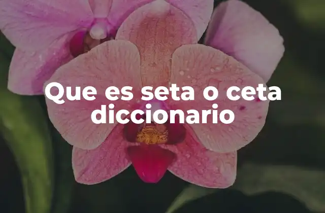Que es Seta o Ceta Diccionario