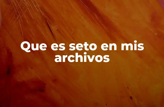 Que es Seto en Mis Archivos
