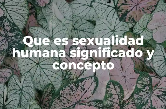 Que es Sexualidad Humana Significado y Concepto