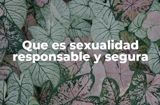 Que es Sexualidad Responsable y Segura